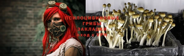 кокаин Алексеевка