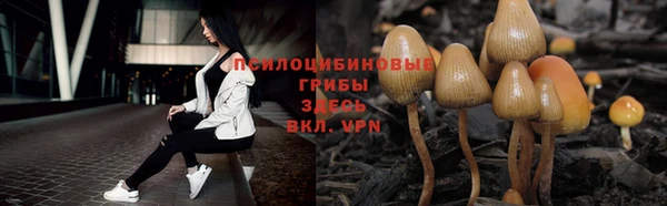 круглые Алзамай